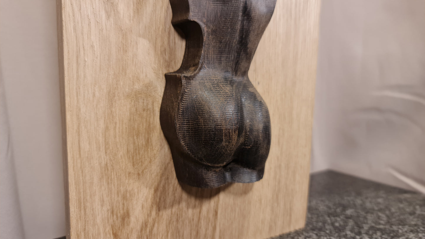 3 D relief Vacker väggdekoration av en kvinna och en cello